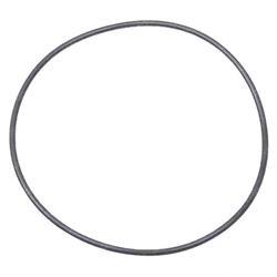 Picture of Seal