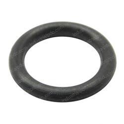 Picture of O-Ring