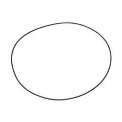 Picture of O-Ring