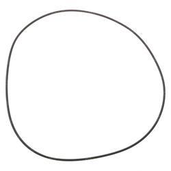 Picture of O-Ring