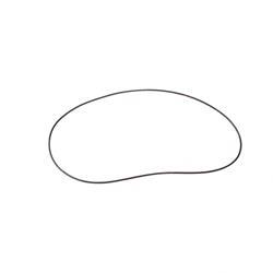 Picture of Ring -  O (for Pump Im