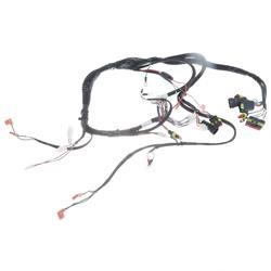 Picture of Main Harness
