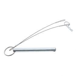 Picture of Pin/Lanyard Assy Per