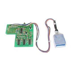 Picture of Printed Boar