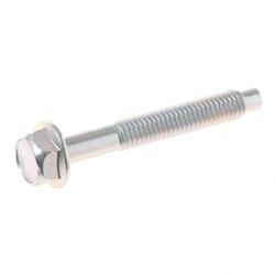 Picture of Bolt