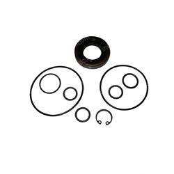 Picture of Overhaul Kit - Pump Vane