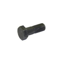Picture of Bolt