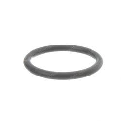 Picture of O-Ring