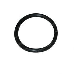 Picture of O-Ring