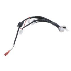 Picture of Main Wire Harness
