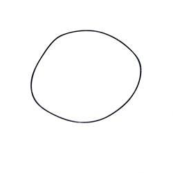 Picture of O-Ring
