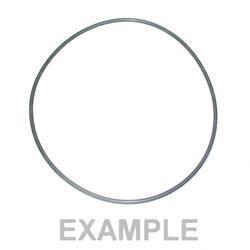 Picture of O-Ring