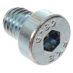 Picture of Socketheadscrew M8x108.8