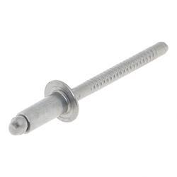 Picture of Pip Rivet