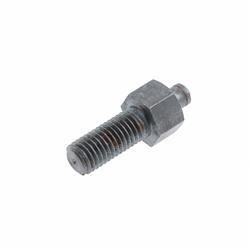Picture of Bolt - Special