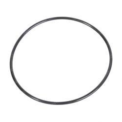 Picture of O-Ring