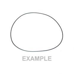 Picture of O-Ring