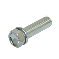 Picture of Bolt W/Washer