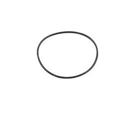 Picture of O-Ring