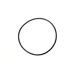 Picture of O-Ring