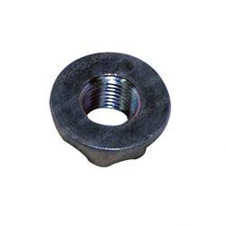 Picture of Nut - Flange