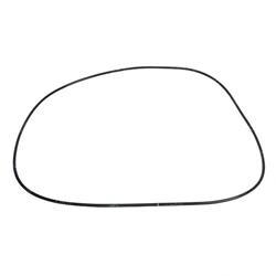 Picture of O-Ring