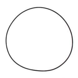 Picture of O-Ring