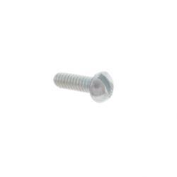 Picture of Screw #4