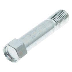 Picture of Bolt