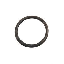 Picture of O-Ring
