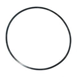 Picture of Ring - Back Up