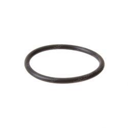 Picture of O-Ring