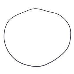 Picture of O-Ring