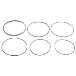 Picture of O-Ring Filter