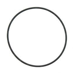Picture of O-Ring