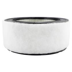 Picture of Filter - Air