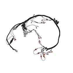 Picture of Harness - Main