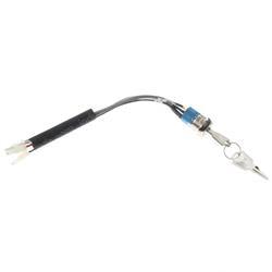 Picture of Switch - Key