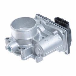 Picture of Throttle Body(int