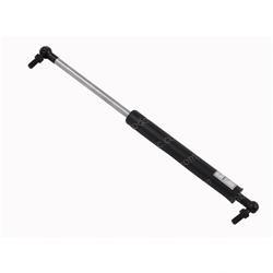 Picture of Spring - Gas