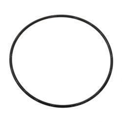 Picture of O-Ring