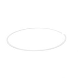 Picture of Ring - Back Up