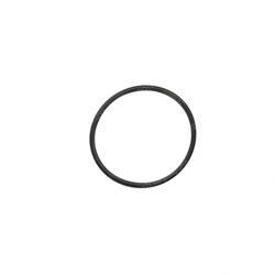 Picture of O-Ring