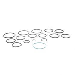 Picture of O-Ring Kit