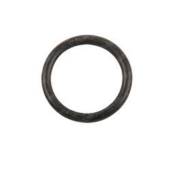 Picture of O-Ring
