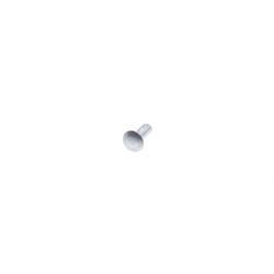 Picture of Rivet-Oval Head-3/8 X 15/32