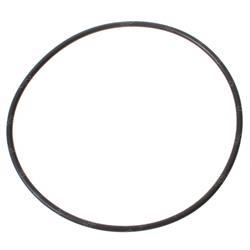 Picture of O-Ring