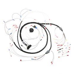 Picture of Harness-Gs30/2632/Aus32