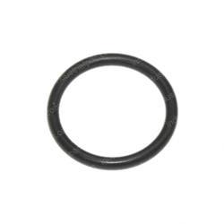 Picture of O-Ring