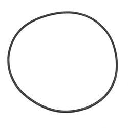 Picture of O-Ring